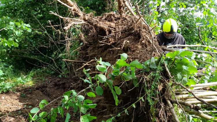 Noční bouřka na Vysočině a odklízení následků, 30.6.2021