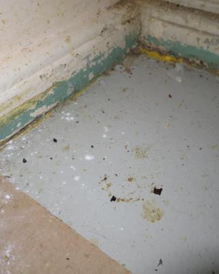 Inspekce uzavřela restauraci v Karlových Varech. Uvnitř našla exkrementy a plesnivé zdi