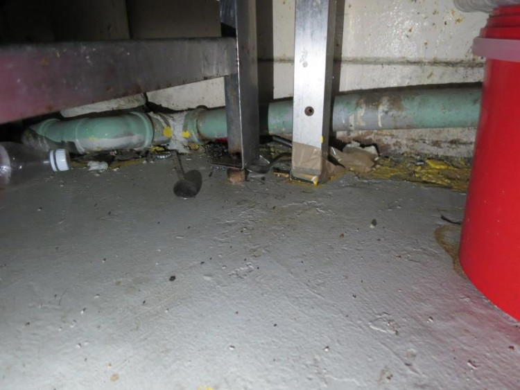 Inspekce uzavřela restauraci v Karlových Varech. Uvnitř našla exkrementy a plesnivé zdi