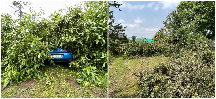 FOTOGALERIE: Následky bouře