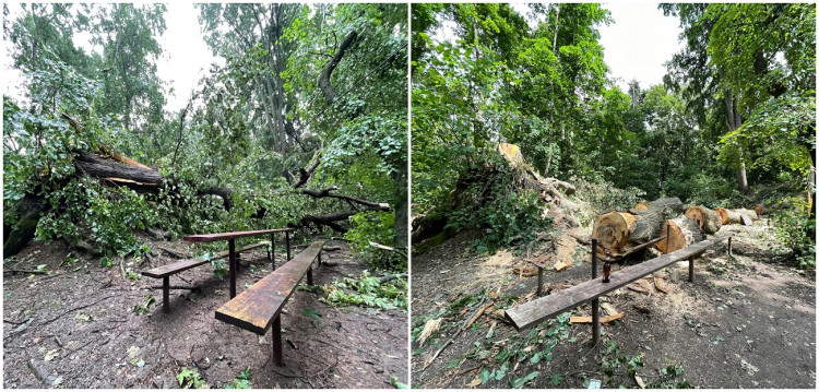 FOTOGALERIE: Následky bouře