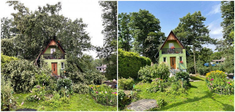 FOTOGALERIE: Následky bouře