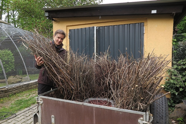 FOTOGALERIE: Výrova čapího hnízdo pro Národní muzeum Praha