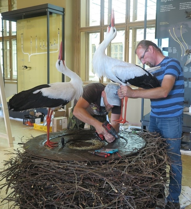 FOTOGALERIE: Výrova čapího hnízdo pro Národní muzeum Praha