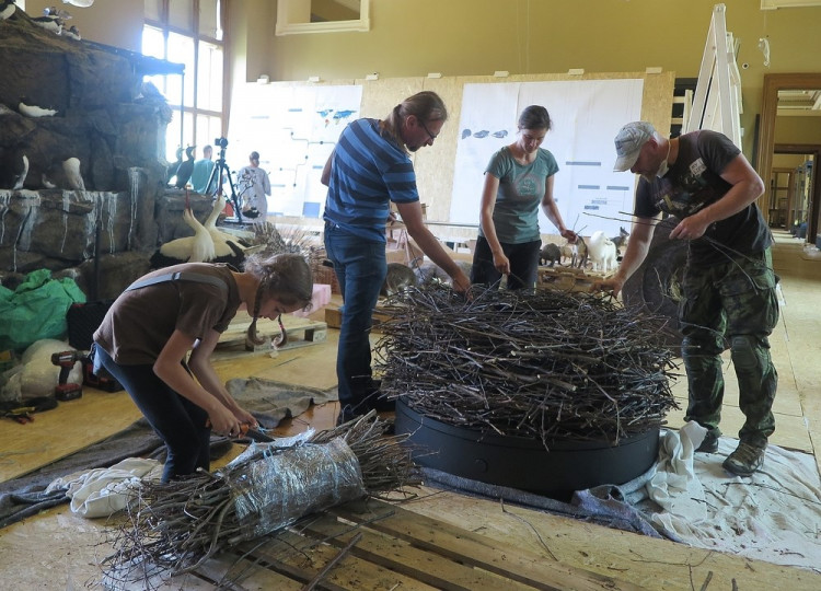 FOTOGALERIE: Výrova čapího hnízdo pro Národní muzeum Praha