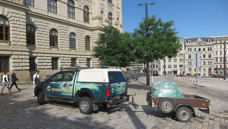 FOTOGALERIE: Výrova čapího hnízdo pro Národní muzeum Praha