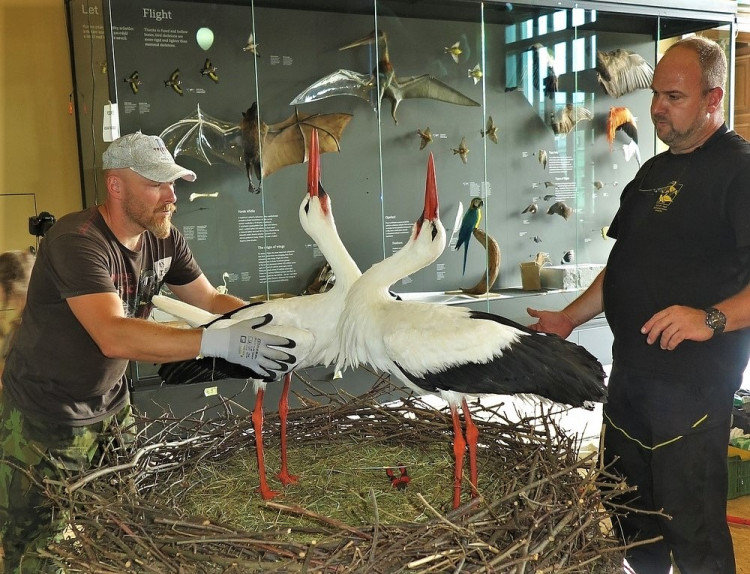 FOTOGALERIE: Výrova čapího hnízdo pro Národní muzeum Praha