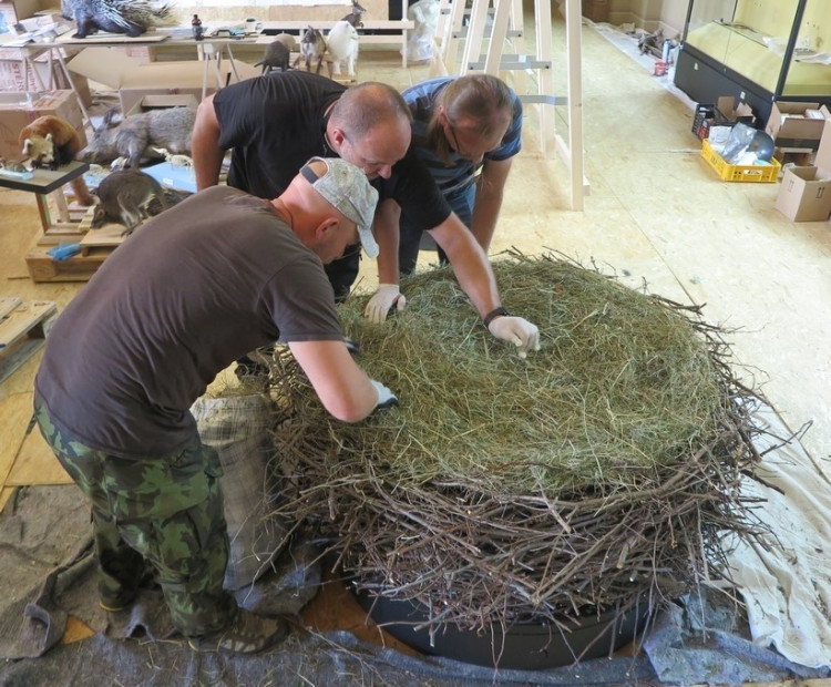 FOTOGALERIE: Výrova čapího hnízdo pro Národní muzeum Praha