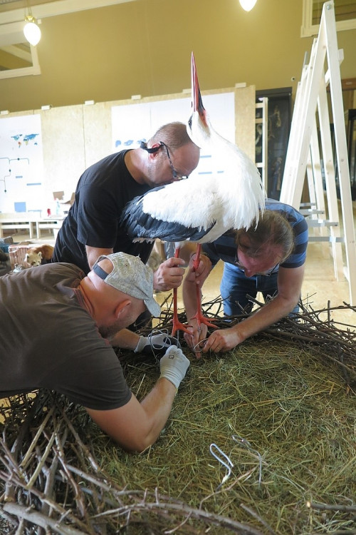 FOTOGALERIE: Výrova čapího hnízdo pro Národní muzeum Praha