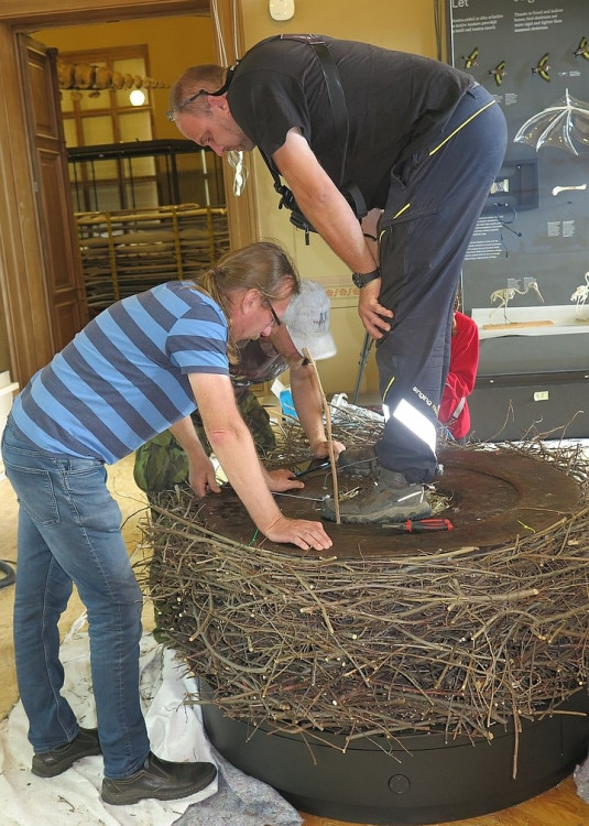 FOTOGALERIE: Výrova čapího hnízdo pro Národní muzeum Praha