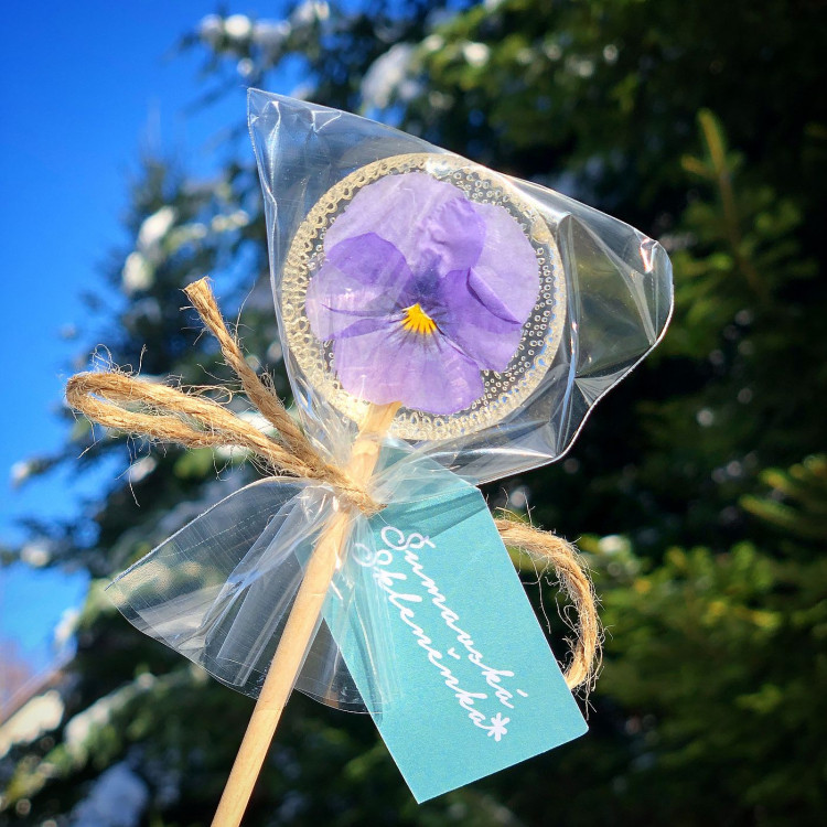 FOTOGALERIE: Šumavská skleněnka