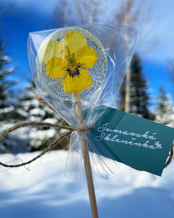 FOTOGALERIE: Šumavská skleněnka