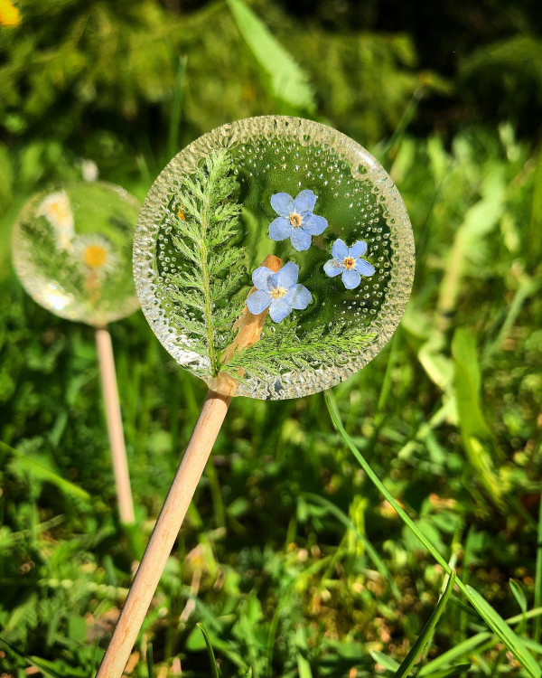 FOTOGALERIE: Šumavská skleněnka