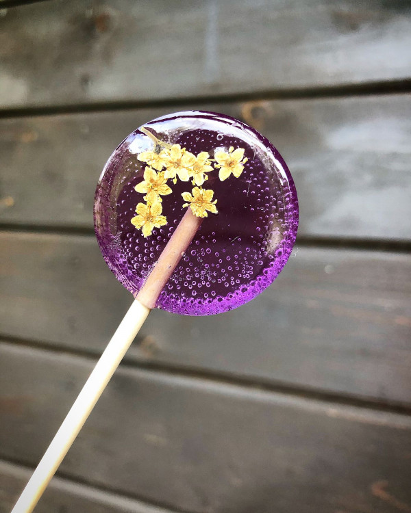 FOTOGALERIE: Šumavská skleněnka