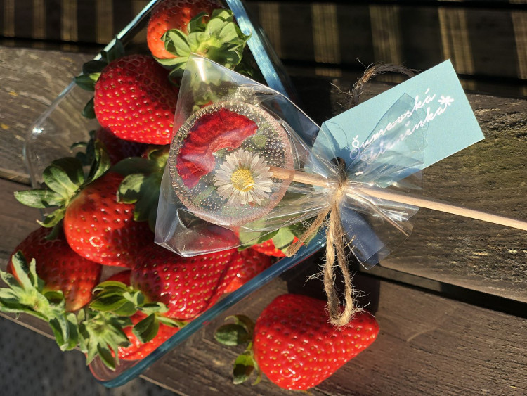 FOTOGALERIE: Šumavská skleněnka