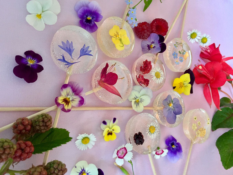 FOTOGALERIE: Šumavská skleněnka