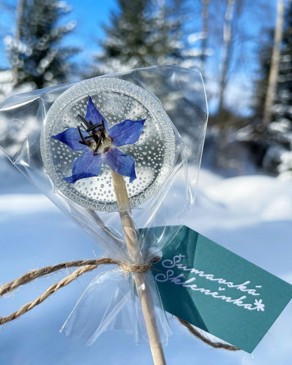 FOTOGALERIE: Šumavská skleněnka