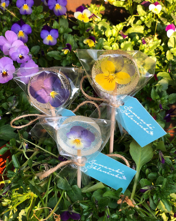 FOTOGALERIE: Šumavská skleněnka