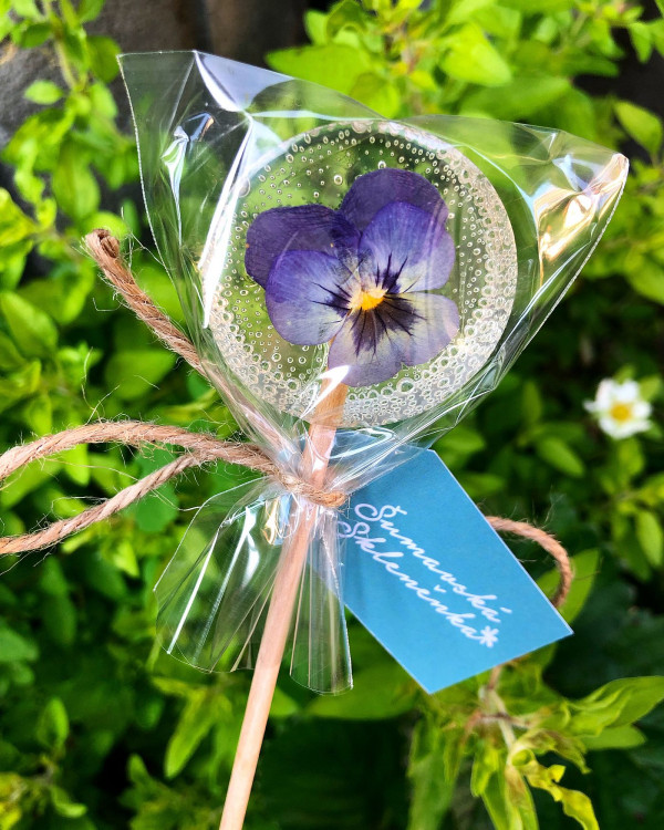 FOTOGALERIE: Šumavská skleněnka