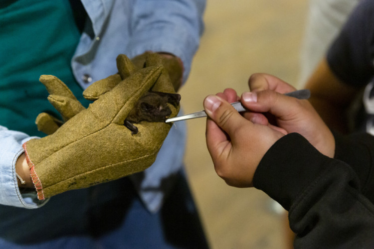 I v letošním ročníku Noci vědců byla jedním z center prezentací a pokusů Přírodovědecká fakulta Univerzity Palackého či popularizační muzeum vědy Pevnost poznání 