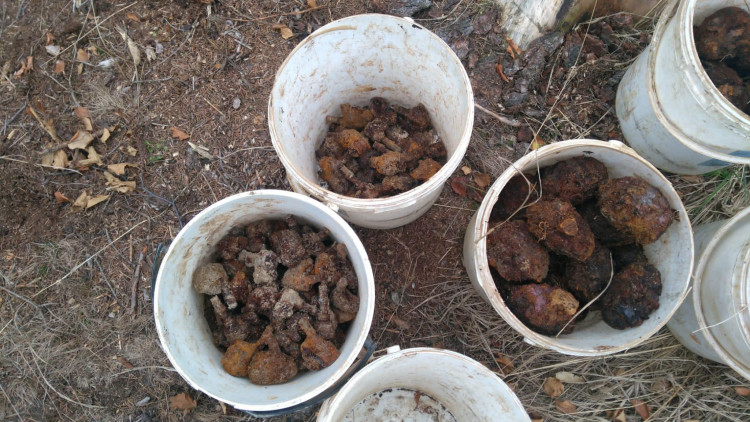 Likvidace válečné munice u Nového Města na Moravě