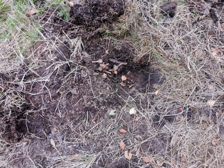 Likvidace válečné munice u Nového Města na Moravě