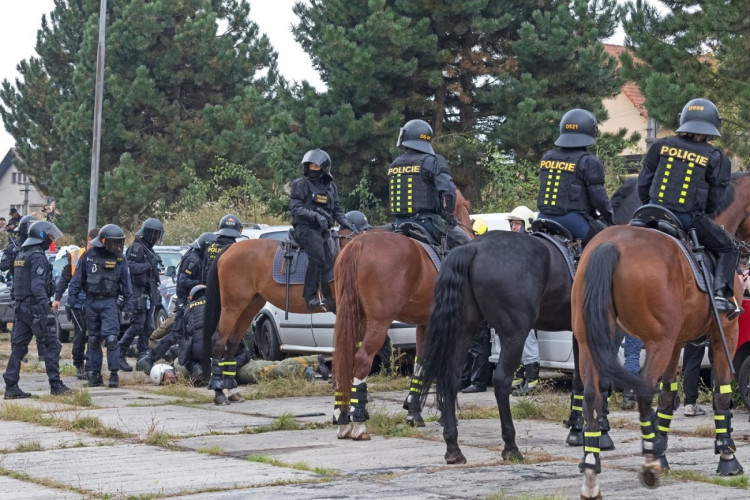 FOTOGALERIE: Společný výcvik českých a německých policistů