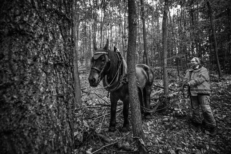 Veronika Králová a kůň Kuba