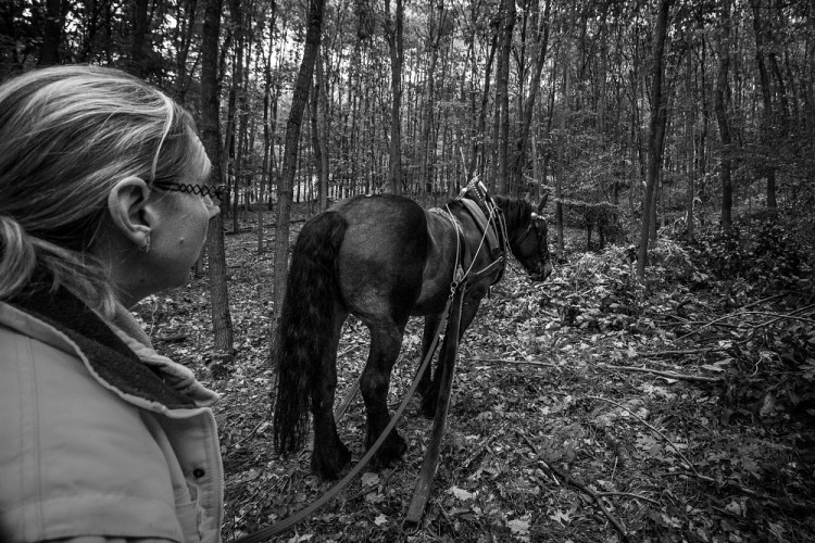 Veronika Králová a kůň Kuba
