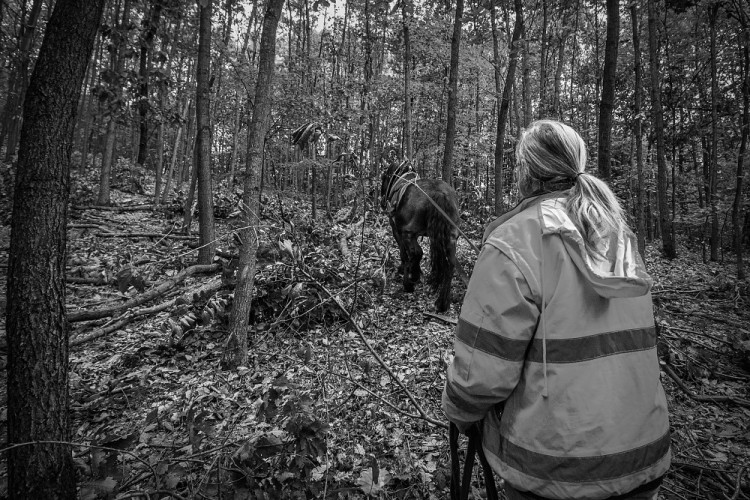 GALERIE: Veronika Králová a její kůň Kuba