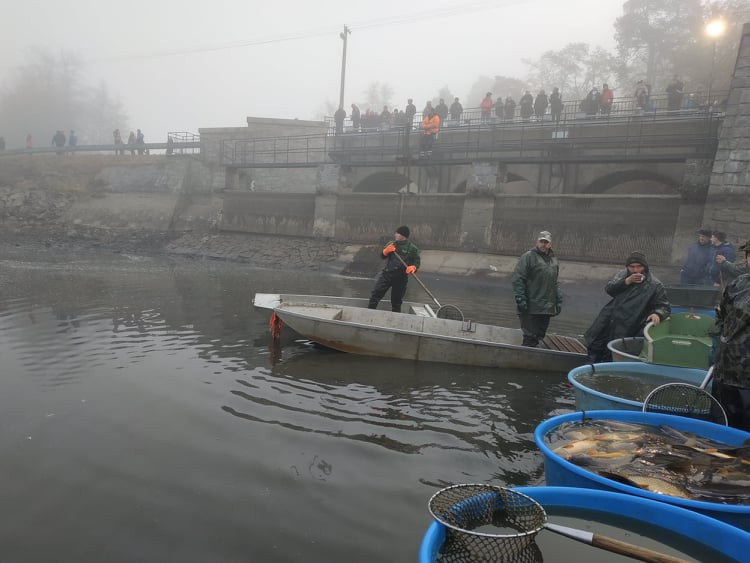 Výlov Podhradského rybníka