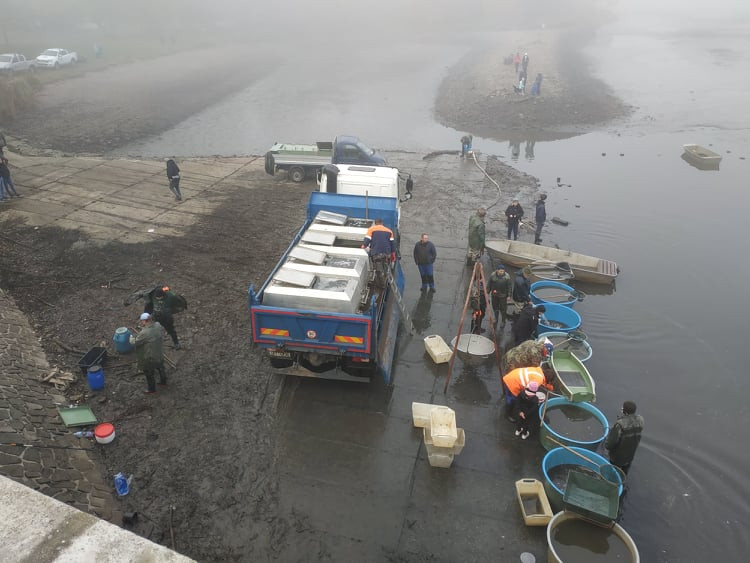 Výlov Podhradského rybníka