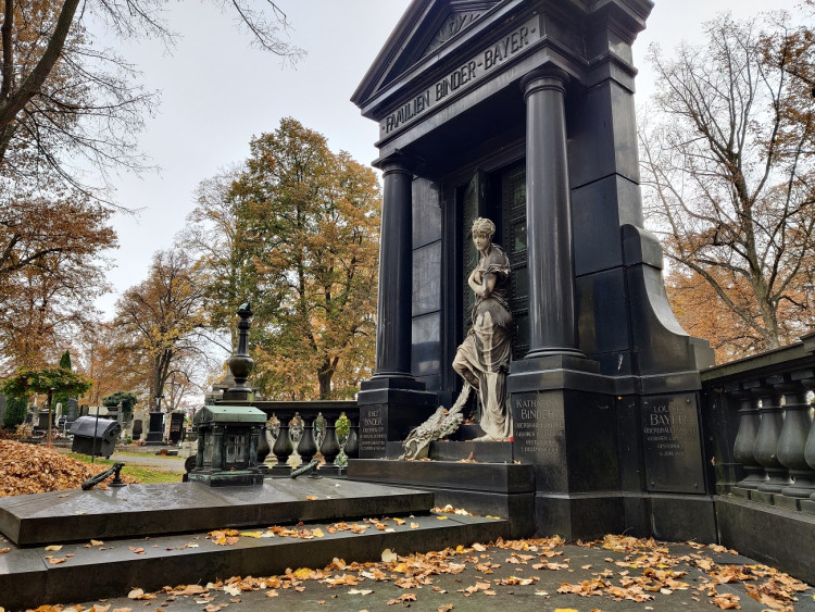 Rodina Binderova, Bayerova vrchní sládkové Plzeňského pivovaru