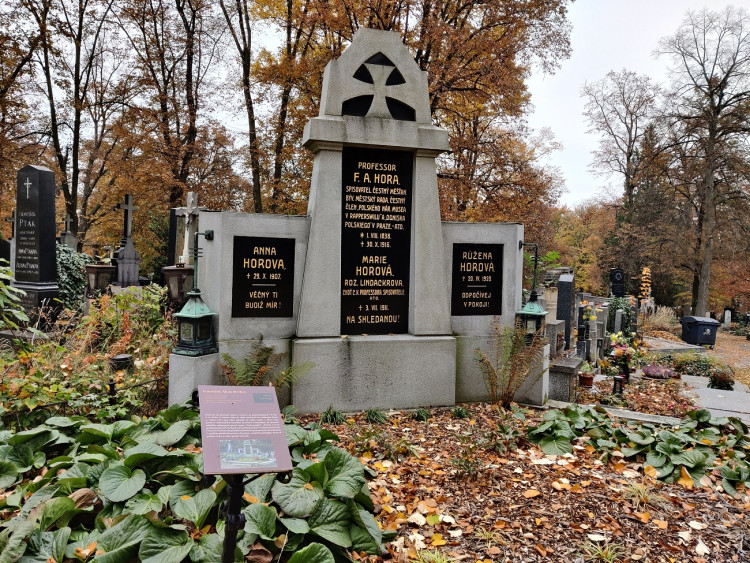 F.A.Hora, profesora spisovatel