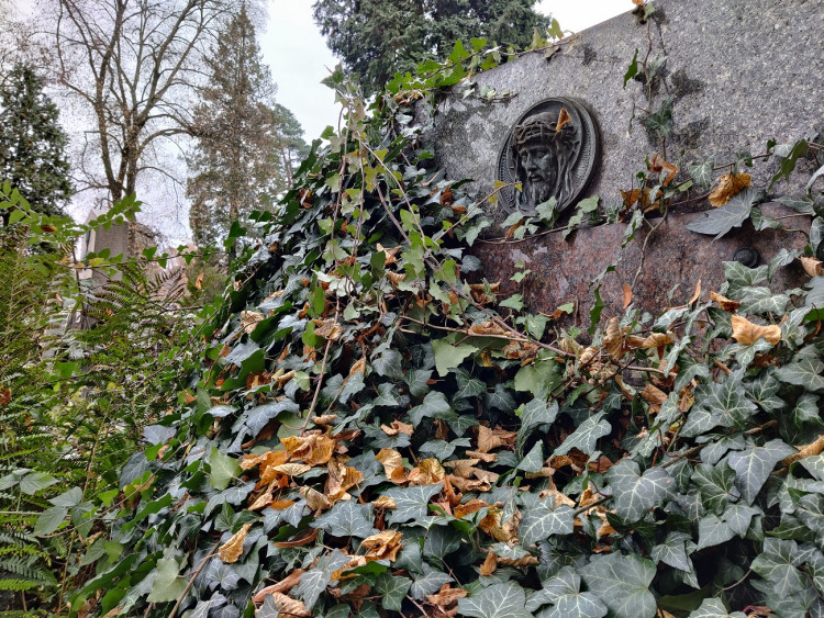 FOTOGALERIE: Ústřední hřbitov Plzeň