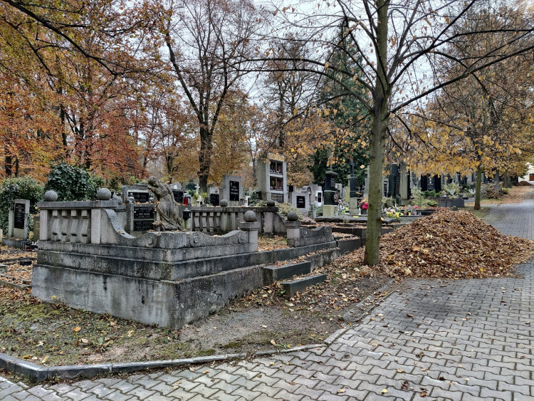 FOTOGALERIE: Ústřední hřbitov Plzeň