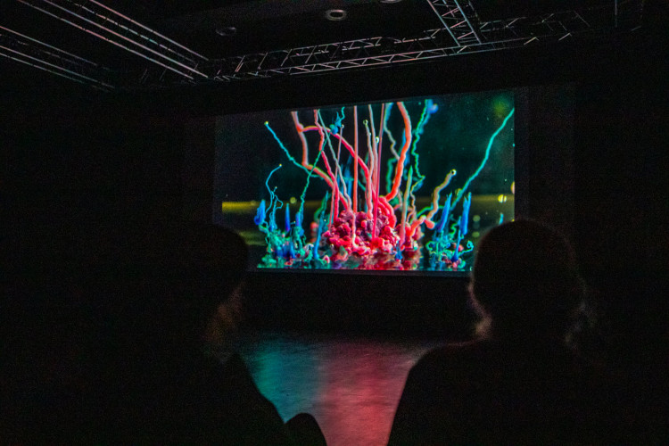 Mezinárodní festival dokumentárních filmů Ji.hlava 2021