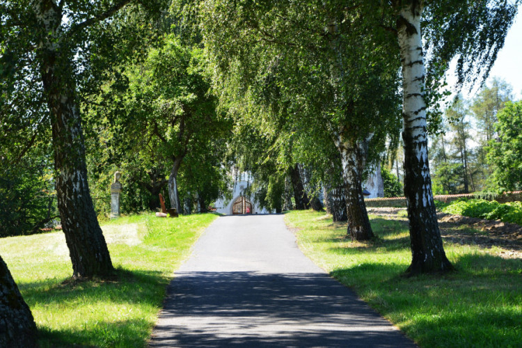 Březová alej ke kostelu sv. Maří Magdalény ve Velharticích, foto: Marie Venská