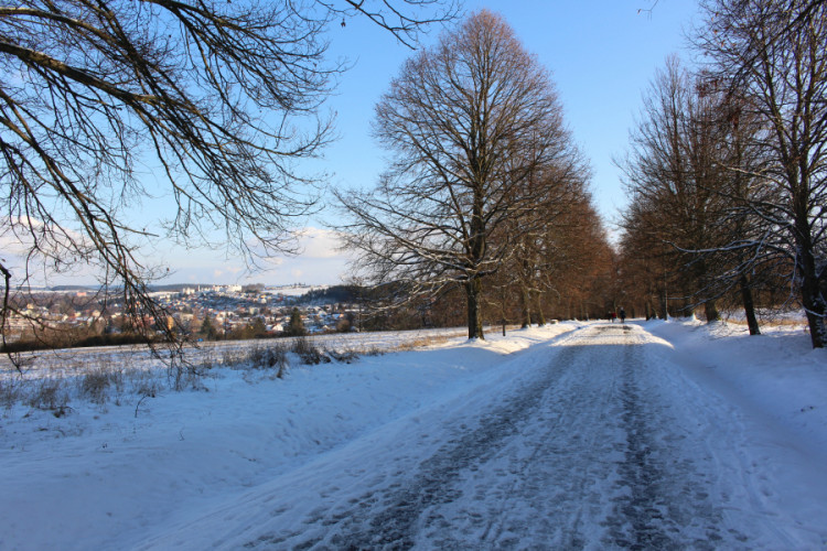 Alej na vrch Vysoká u Tachova, foto: Alena Mautnerová