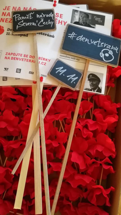 Pole vlčích máků v Liberci