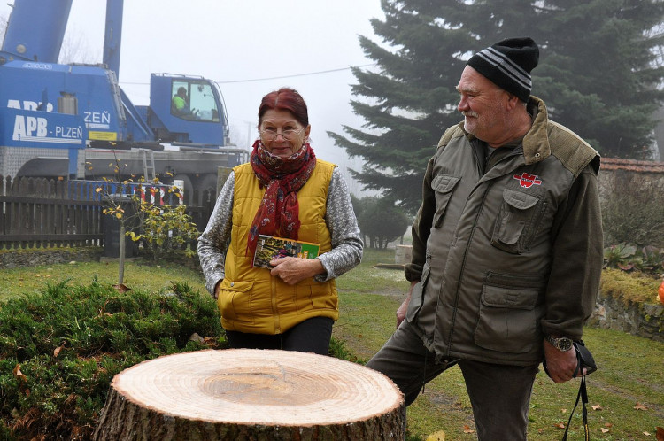 FOTOGALERIE: Vánoční strom pro Plzeň 2021