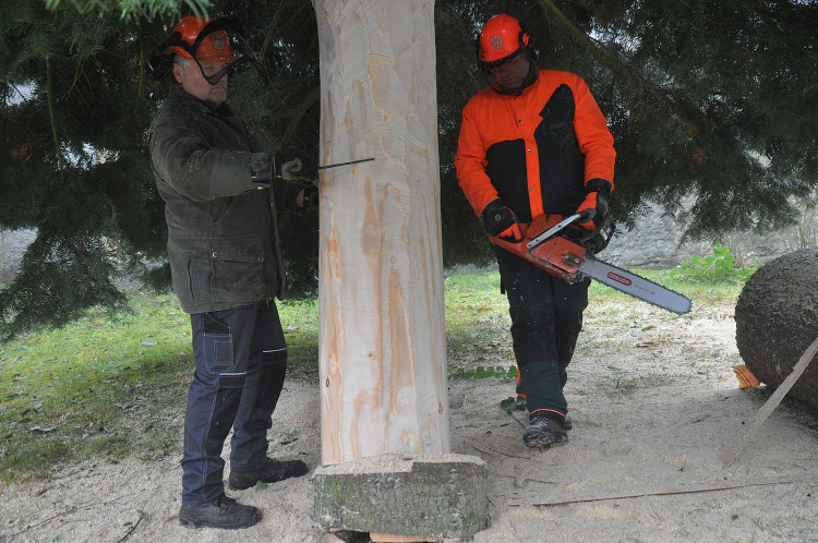 FOTOGALERIE: Vánoční strom pro Plzeň 2021