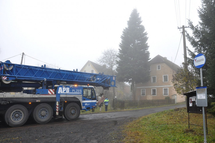 FOTOGALERIE: Vánoční strom pro Plzeň 2021