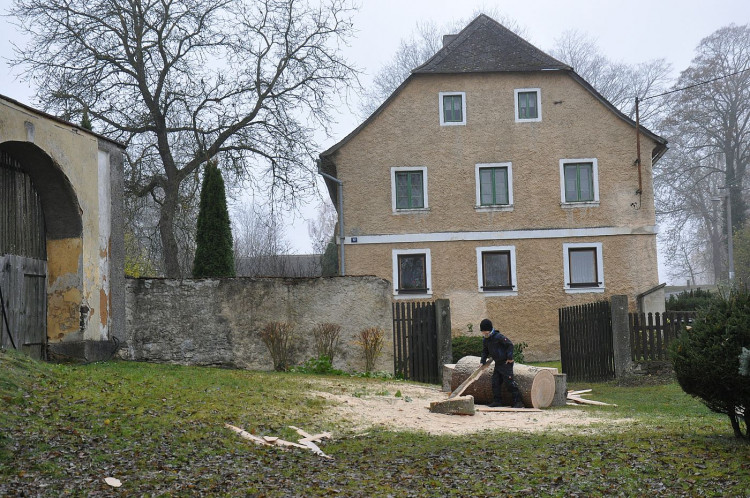 FOTOGALERIE: Vánoční strom pro Plzeň 2021