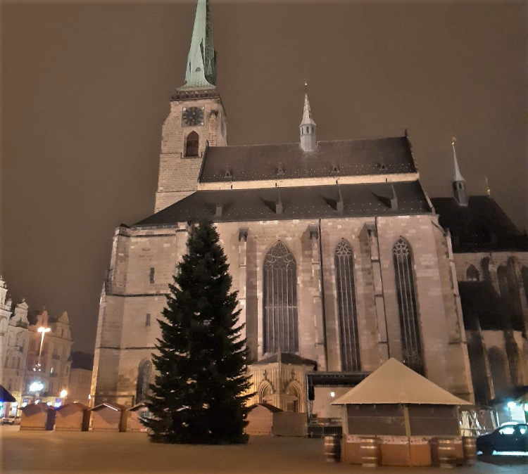 FOTOGALERIE: Vánoční strom pro Plzeň 2021