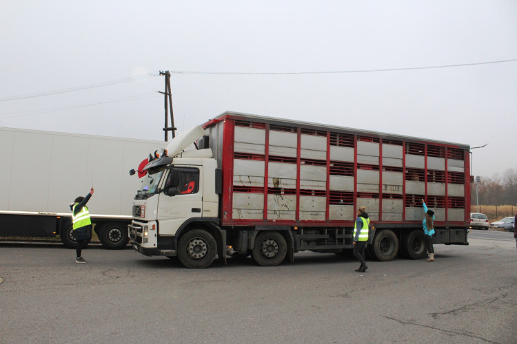 Pietní akt u kosteleckých jatek