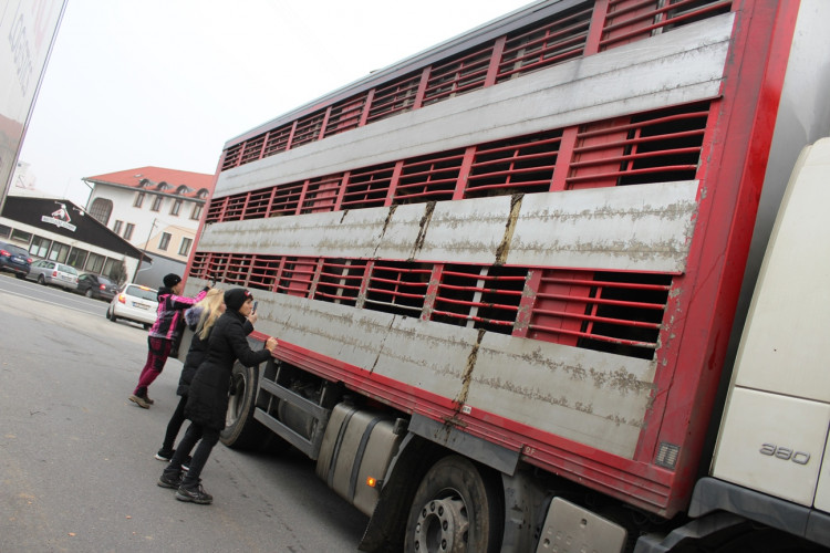 Pietní akt u kosteleckých jatek