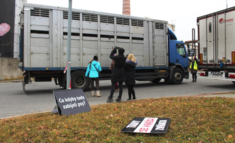 Pietní akt u kosteleckých jatek