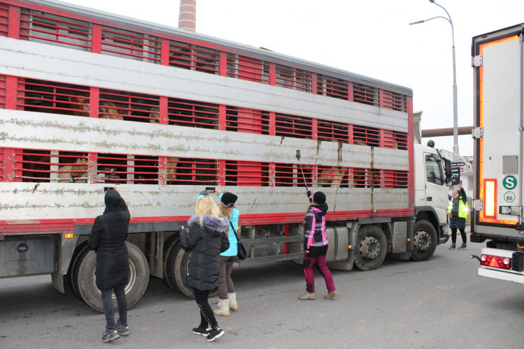 Pietní akt u kosteleckých jatek