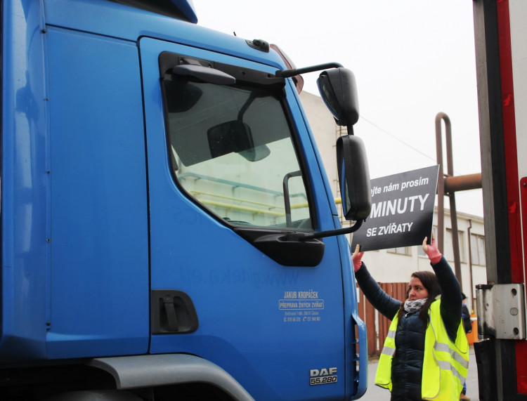 Pietní akt u kosteleckých jatek